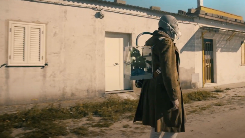 The Birds // Belle Roscoe - Environmental Music Prize