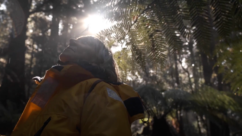 Takayna // Goanna - Environmental Music Prize